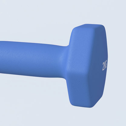 SPORTNOW 2 x 2kg Hexagonal Dumbbells Weights Set with Non-Slip Grip for Home Gym Workout