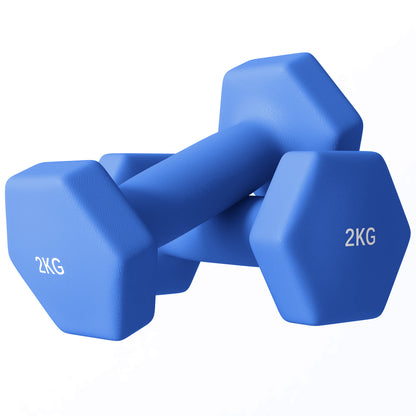 SPORTNOW 2 x 2kg Hexagonal Dumbbells Weights Set with Non-Slip Grip for Home Gym Workout